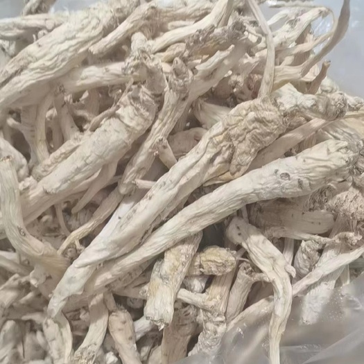 贵阳泡参