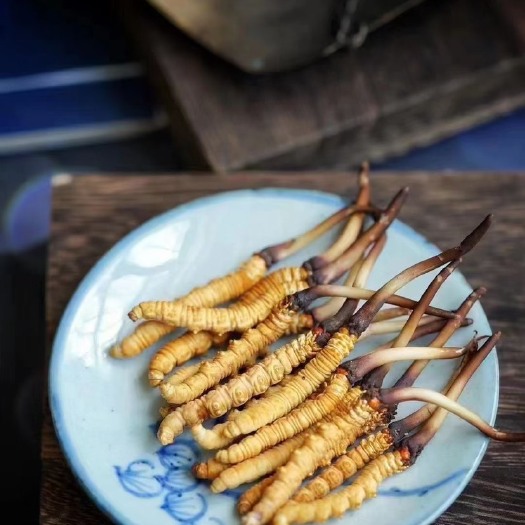 昆明青海果洛纯手工干刷新鲜虫草产地批发