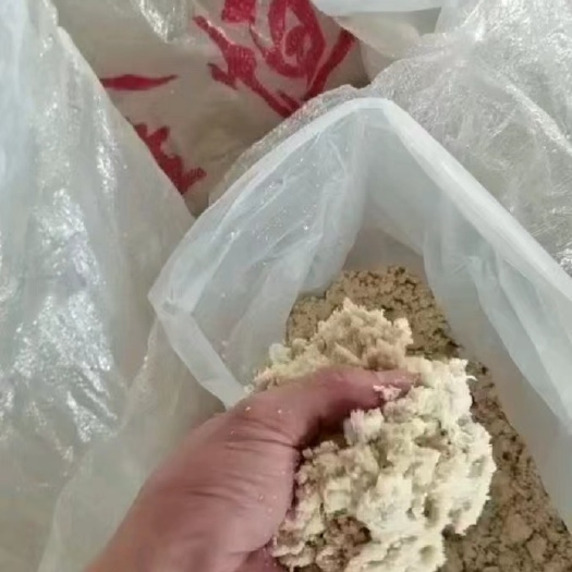 来宾发酵豆渣