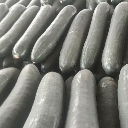兰陵县山东，临沂，兰陵县，大冬瓜，大量供应，大量接单，保质保量