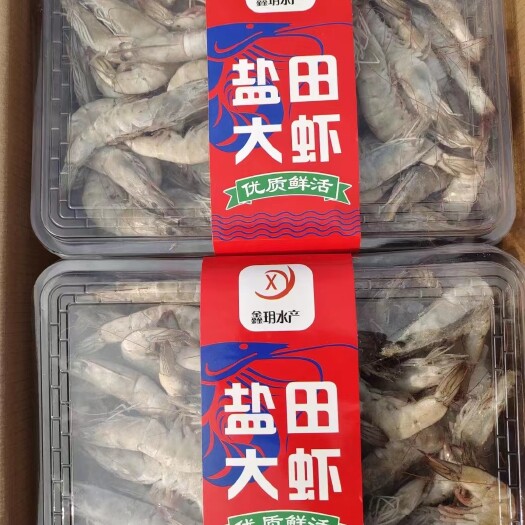 盐田大虾冻虾，南美白对虾，量大可谈。