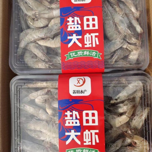 温岭市盐田大虾冻虾，南美白对虾，量大可谈。