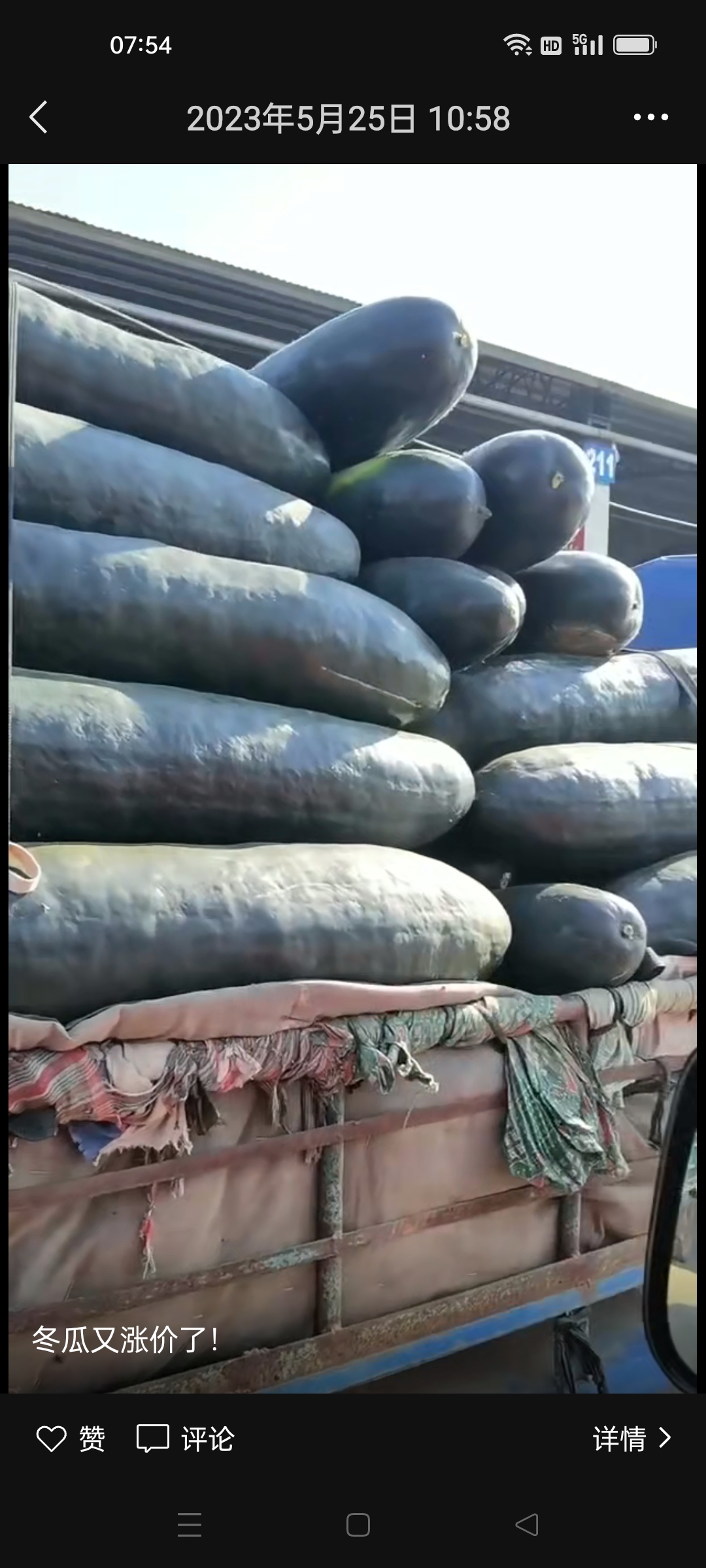 山东，临沂，兰陵县，大冬瓜，大量供应，大量接单，保质保量