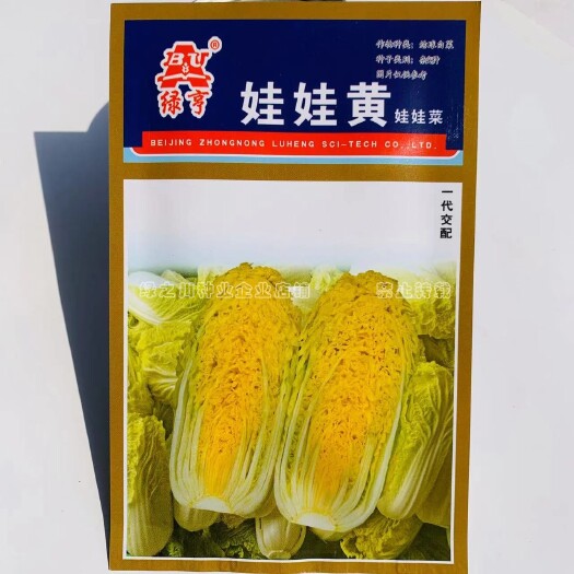 绿亨娃娃黄娃娃菜种子黄心春秋蔬菜种子小棵白菜 杂交娃娃菜种籽
