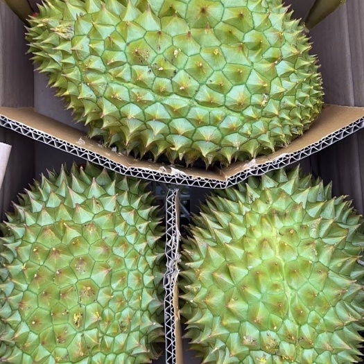 昆明榴莲