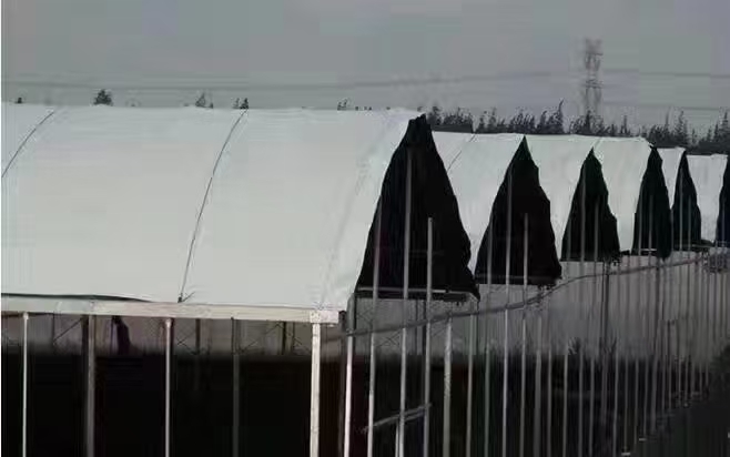 寿光市山东高端农膜制造商主要生产大棚PO膜，黑白膜，地膜防草布等