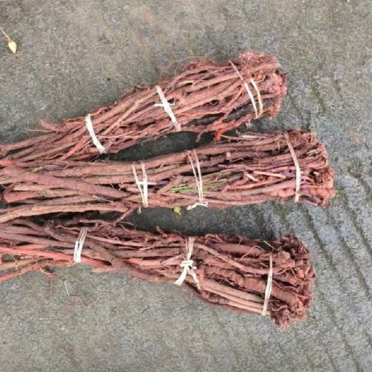 安顺贵州茜草纯根    小血藤