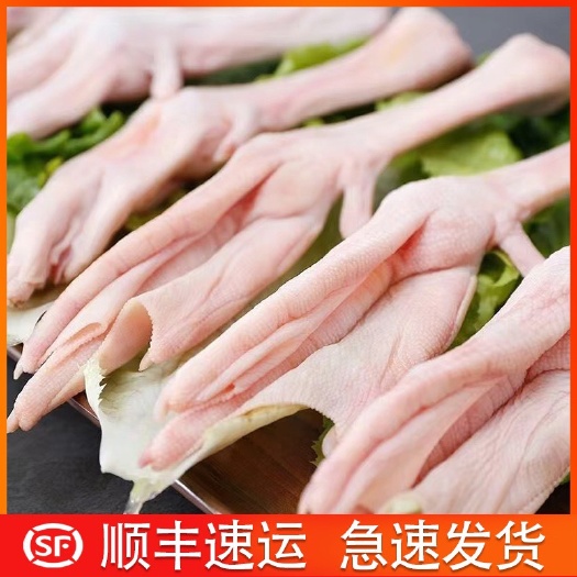 佛山广东新鲜10斤黑棕鹅掌亦大鹅爪生冷冻鹅翅膀鹅脚现杀速冻餐厅商