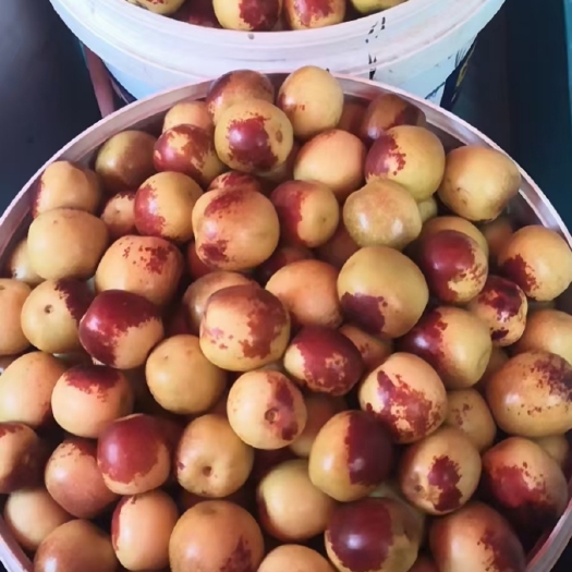 冬枣，小红枣，