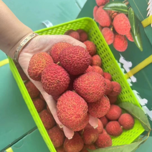 东莞市东莞厚街荔枝味道很好