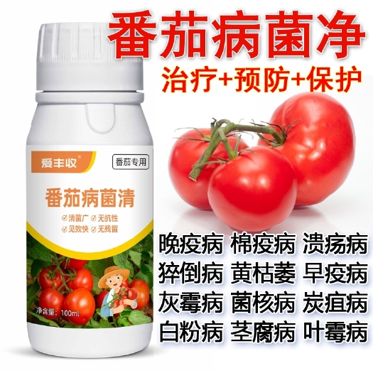 番茄病菌净晚疫病棉疫病溃疡病猝倒病黄枯萎早疫病灰霉病菌核病炭