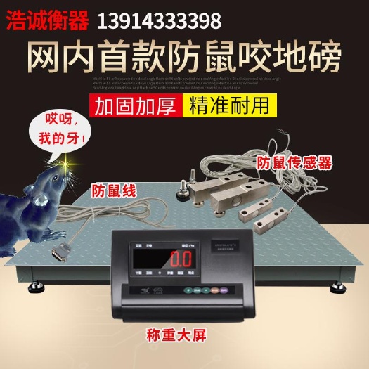 常州防鼠咬小地磅