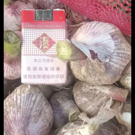 大名县河北省邯郸市大名县大蒜