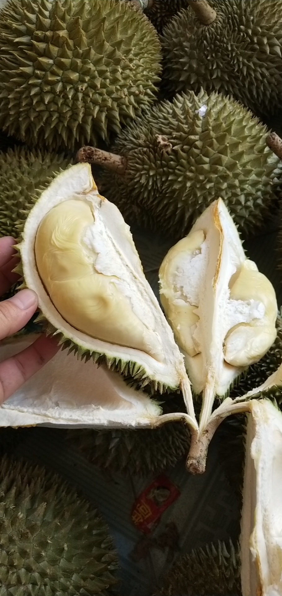 越南本土货源一件代发-越南送货