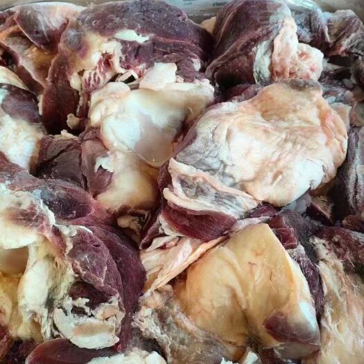 河间市牛窝骨满肉满筋