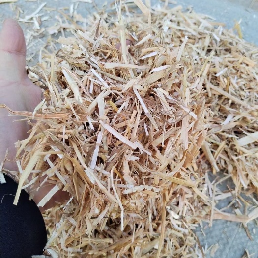 大邑县小麦，玉米秸秆 原草， 优貭揉丝除尘风选麦秸玉米草料！