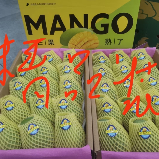 田东县一件批发
