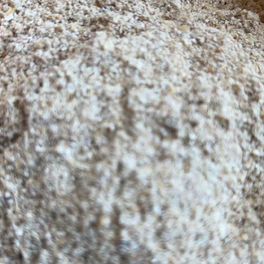 阿拉山口饲料小麦粉