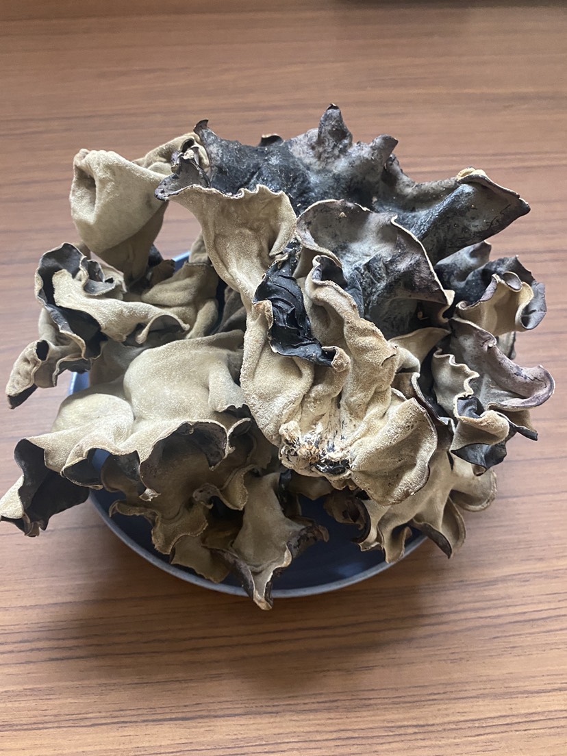 鱼台县毛木耳白背毛木耳脆木耳细木耳大黑毛木耳食堂木耳头茬毛木耳