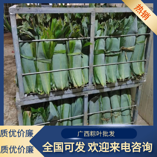 大化县广西粽叶批发，干粽叶，大粽叶，箬叶，一手货源！质优价廉