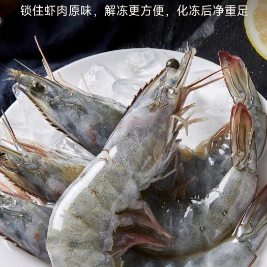 连云港海鲜生鲜鲜活大虾超大基围虾特大青虾对虾虾鲜活速冻海鲜水产