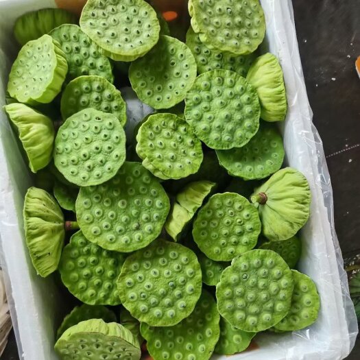 怀宁县新鲜水果莲蓬