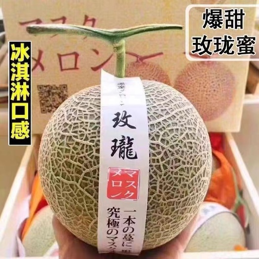 寿光市【玫珑蜜瓜一件代发包邮】网纹瓜