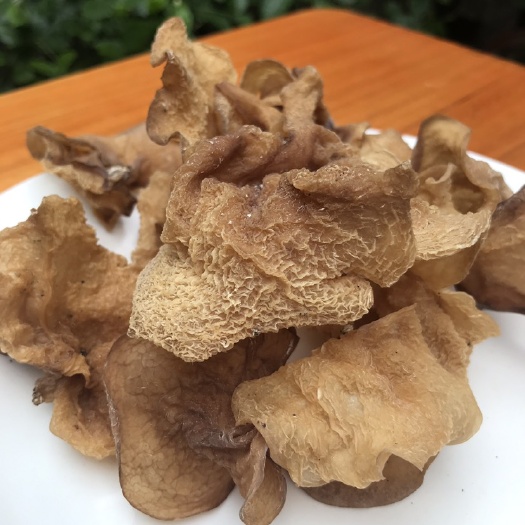 羊肚耳沙耳珍珠菌