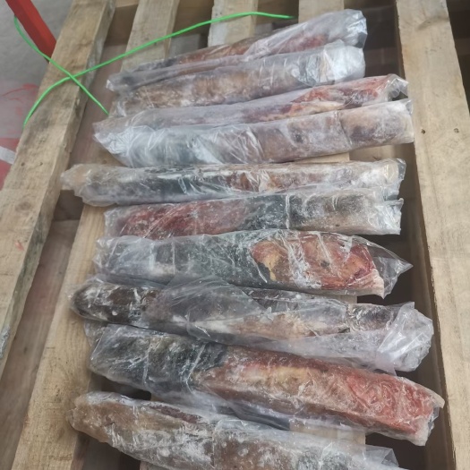 郑州驴鞭，驴宝