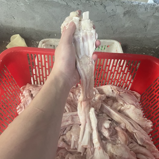 汕头牛蹄筋  新鲜脚筋