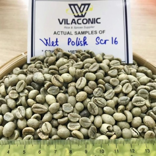 长沙越南咖啡豆