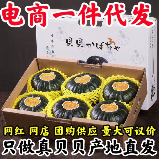聊城贝贝南瓜礼盒装山东真贝贝南瓜板栗味小南瓜新鲜蔬菜批发甜糯南瓜