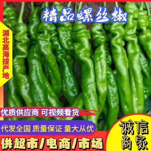 长阳县螺丝椒(湖北高山)