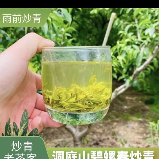 苏州苏州洞庭山碧螺春