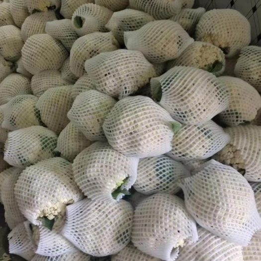 张北县散菜花单颗2斤左右 小米粒松花菜 康保菜花 散花