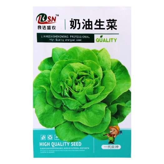 河间市良达奶油生菜种子 农田菜地农户种植品质脆甜当季生菜籽
