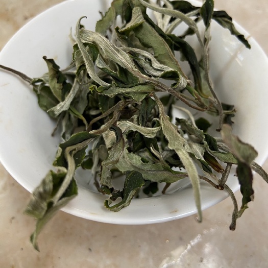 昆明2023年头春荒山白茶