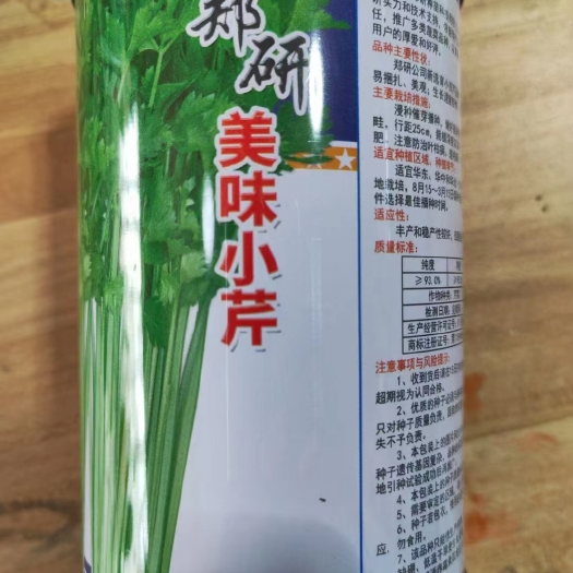 长沙小香芹种子