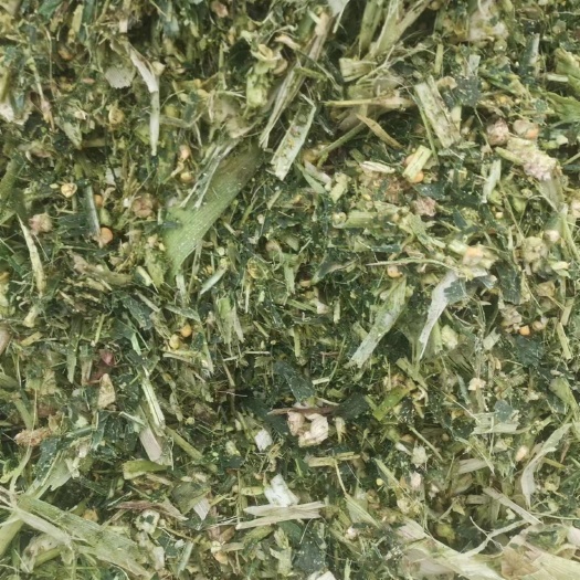南阳新鲜玉米秸秆青储，不是全株