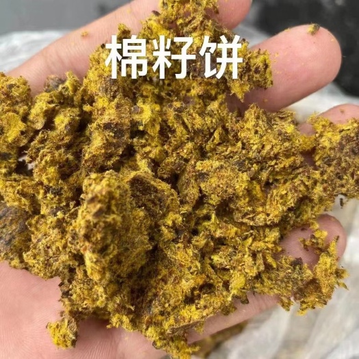 正定县棉籽饼