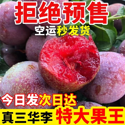 瑞金市【现摘发货中】正宗三华李红心红肉李子钱排新鲜孕妇水果酸脆甜李