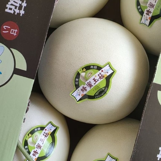 饶阳县饶阳县精品玉姑大量现货供应