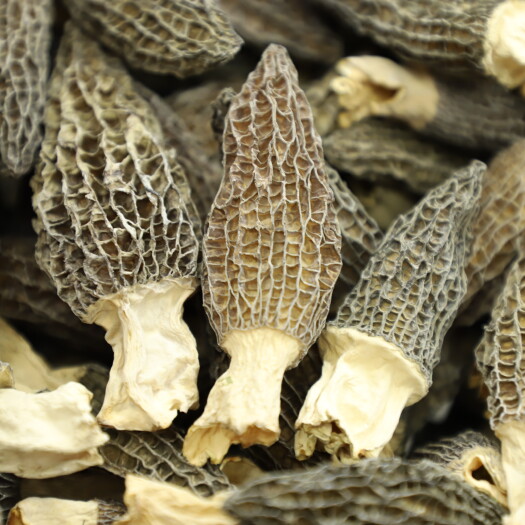 昆明云南特产2025新货羊肚菌头茬大货批发