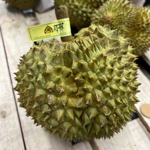  金枕榴莲