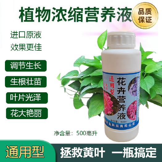营养特点:本品按植物生长所需的营养成分比例配制，富含氮、磷、