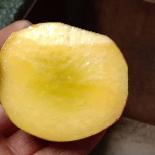 兰陵县黄金蜜桃