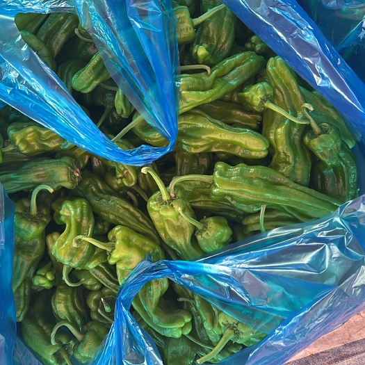 当涂县辣椒