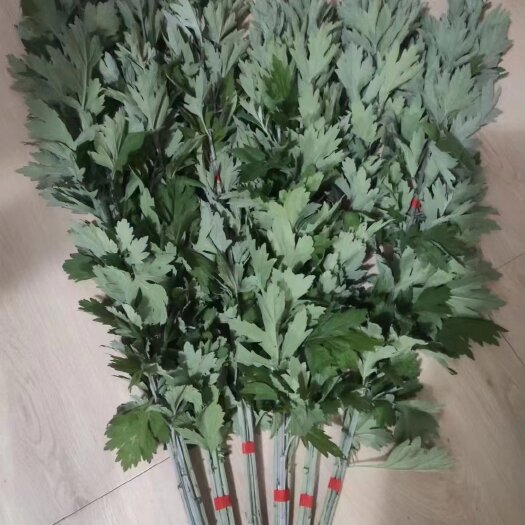 花垣县艾叶