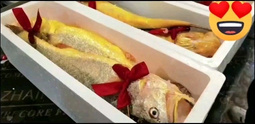 宁德大条礼品大黄鱼 节日送礼  独立包装