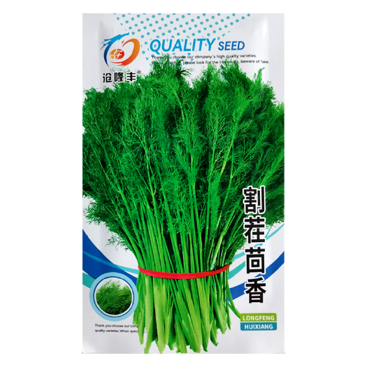 武汉割完又长割茬茴香种子茴香种籽四季菜种子春夏秋季种籽农家孑
